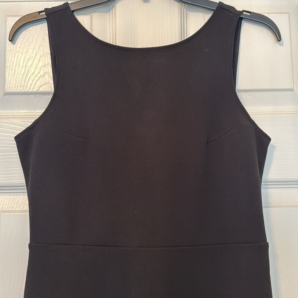 Express Dress - Picture 2 of 6